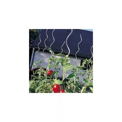   TOMATO SPIRAL EPOXY spirál alakú paradicsomkaró, epoxigyantával bevont - zöld 1,7 m
