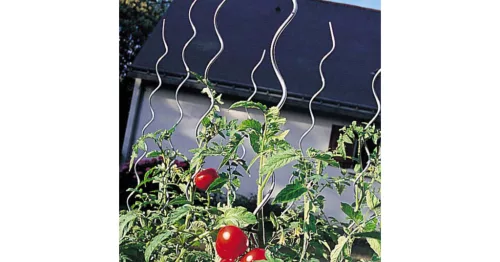 TOMATO SPIRAL EPOXY spirál alakú paradicsomkaró, epoxigyantával bevont - zöld 1,7 m