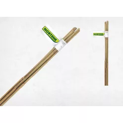 BAMBOO bambusz termesztő karó - bambusz 0,6 m