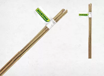 BAMBOO bambusz termesztő karó - bambusz 0,6 m