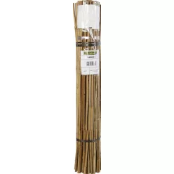BAMBOO bambusz termesztő karó - bambusz 0,9 m