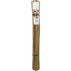 BAMBOO bambusz termesztő karó - bambusz 1,2 m