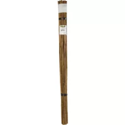 BAMBOO bambusz termesztő karó - bambusz 1,8 m