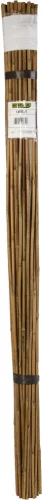 BAMBOO bambusz termesztő karó - bambusz 1,8 m