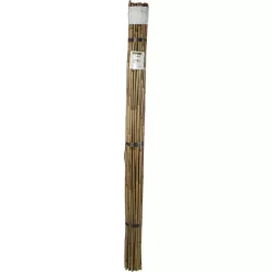 BAMBOO bambusz termesztő karó - bambusz 2,1 m