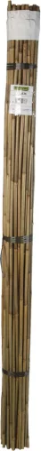 BAMBOO bambusz termesztő karó - bambusz 2,1 m