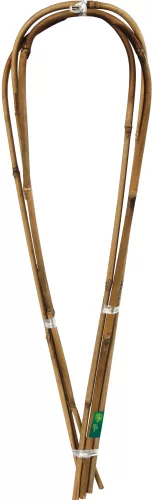 ARC BAMBOO ívelt bambuszkaró  - bambusz 0,6 m