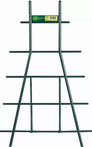 ECHELLE viráglétra - zöld 37 cm