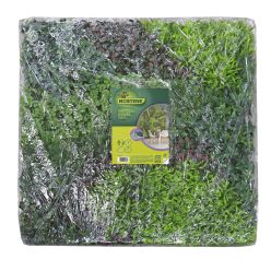   VERTICAL COSTA zöldfal vegyes levelekkel - többszínű 1 x 1 m
