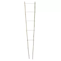 ECHELLE BAMBOO bambusz növénylétra - bambusz 60 x 20 cm