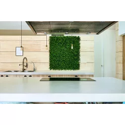 VERTICAL BUXUS zöldfal buxus levelekkel - zöld 1 x 1 m