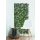 TRELLIBAMBU BUXUS bambusz apácarács díszlevelekkel - zöld-barna 1 x 2 m