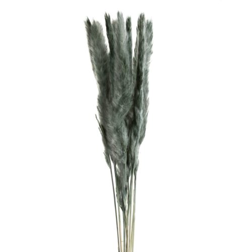 Szárított pampafű 10db-os csokor Menta 75cm