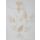 Modern falikép ginkgo levelekkel 487c Bézs 60x80 cm