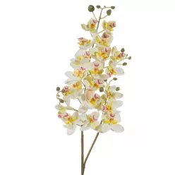 Orchidea művirág Fehér
