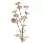 Flore kollekció