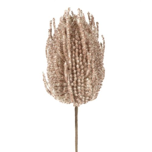 Banksia művirág 423 Világosbarna