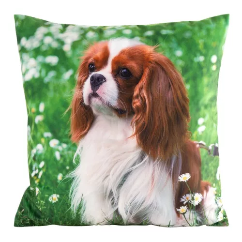 Animal74 kutyás párnahuzat Zöld 45x45 cm